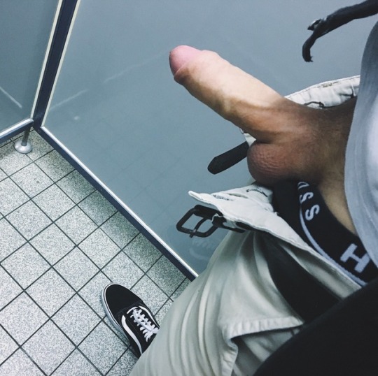 Public toilet quick dick selfie